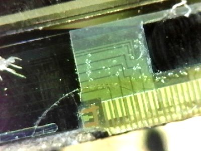 S20170109_0001.jpg