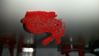 20150201_122419.jpg